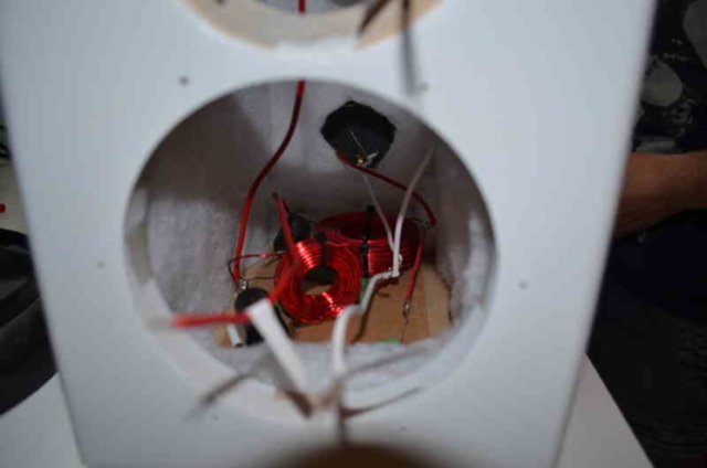 view of crossover inside speaker (it needs more damping material inside)